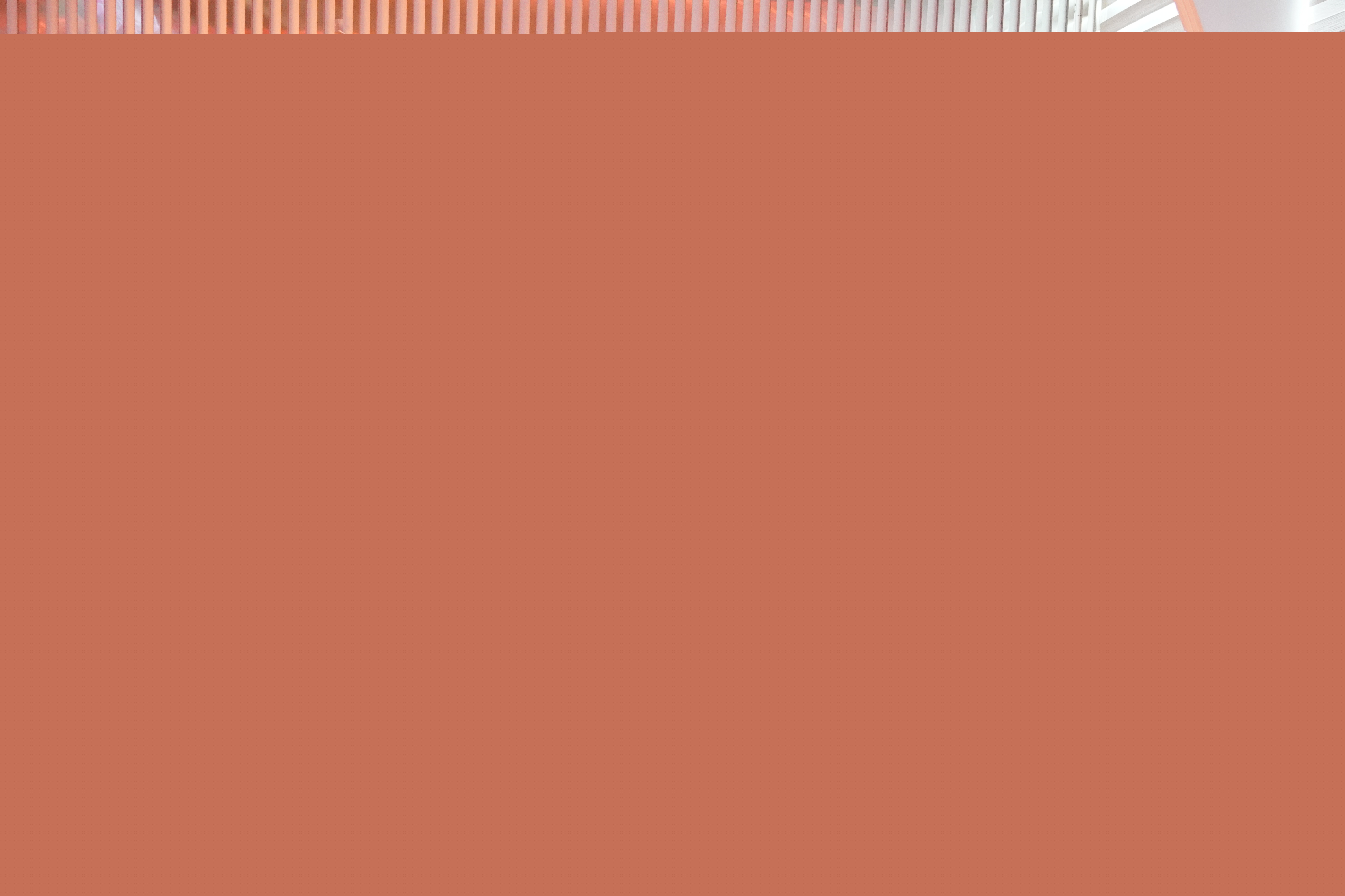 2025年第一季度（第八期）員工生日會